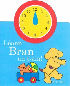 Léann Bran an t-Am