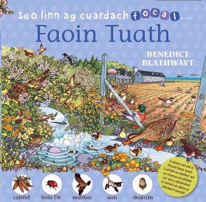 Faoin Tuath