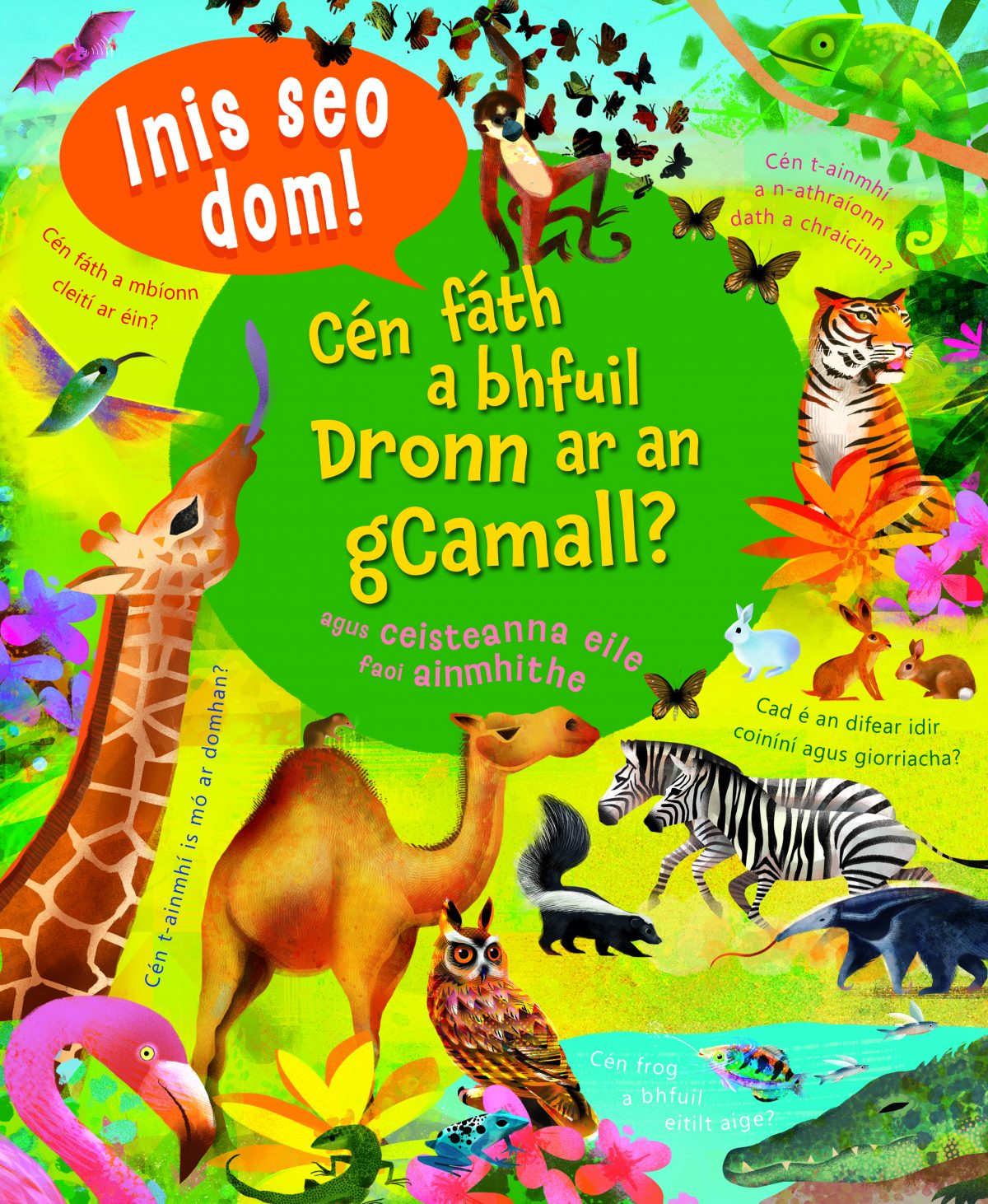 Inis Seo Dom! Cén fáth a bhfuil Dronn ar an gCamall?