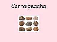 14-Carraigeacha---FT-R4