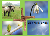 La-Fheile-Bride