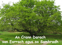 an-crann-darach-sahmradh