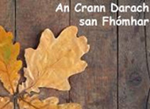 an-crann-darach