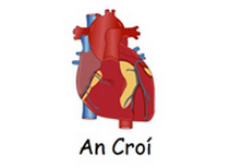 an-croi