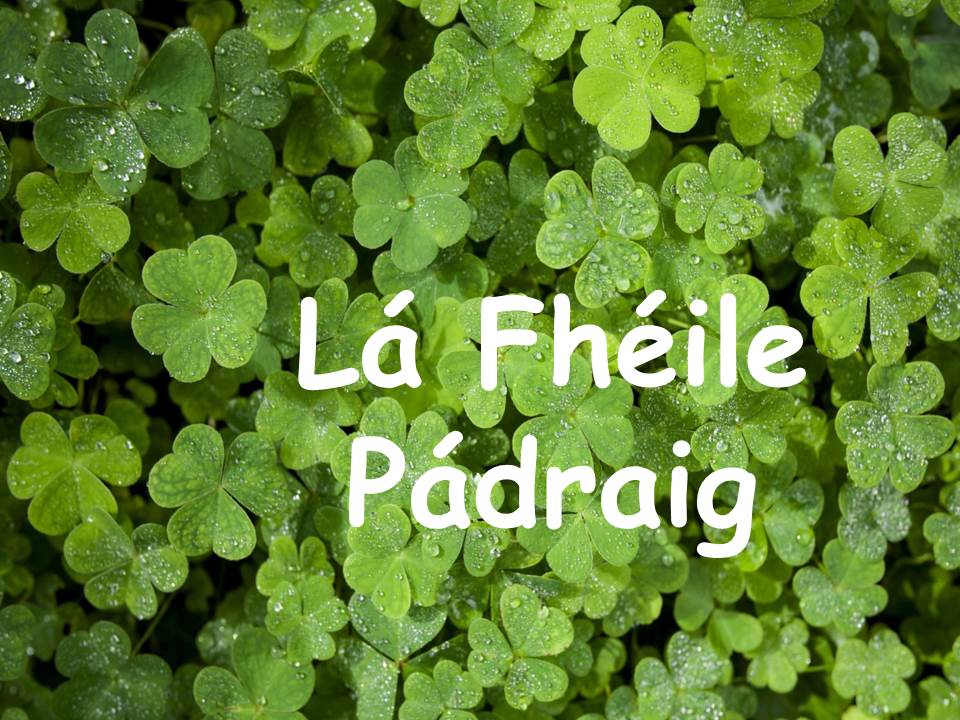Lá Fhéile Pádraig - íomhá