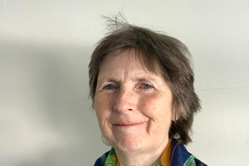 Dán an Domhnaigh LeChéile Éiceolaí, le Biddy Jenkinson Foras Na Gaeilge